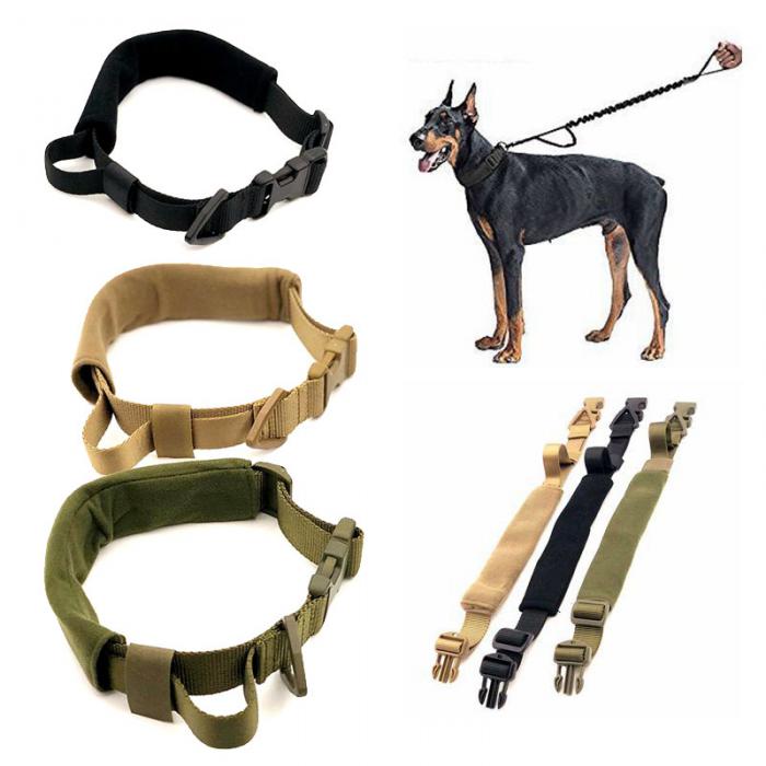 Dog Collar