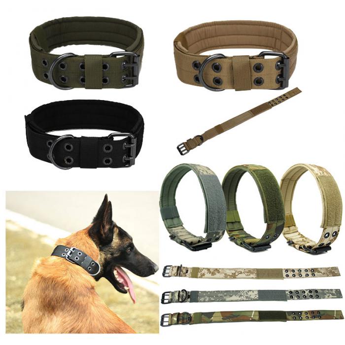 Dog Collar