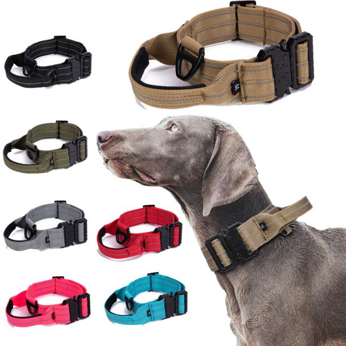 Dog Collar