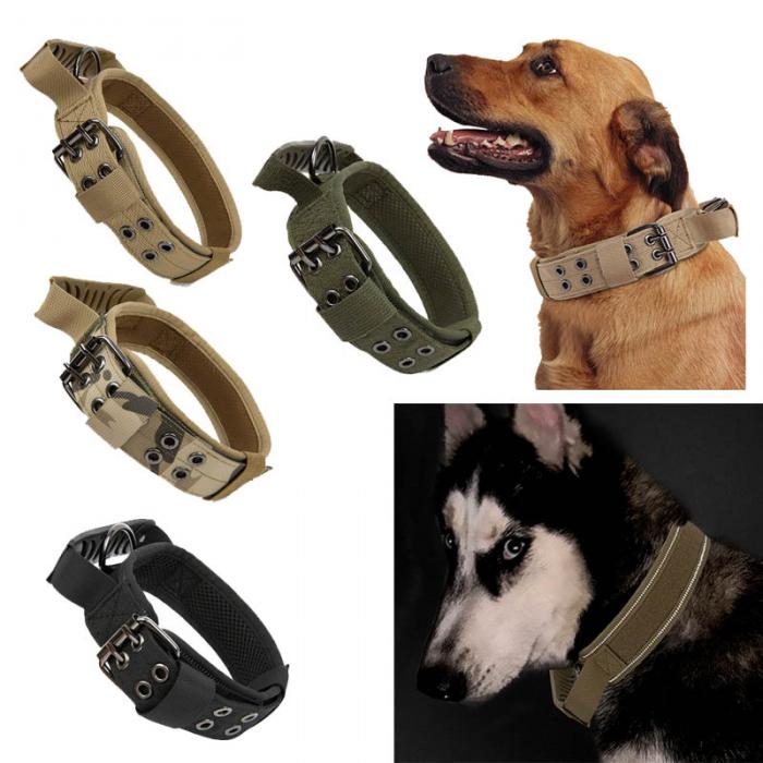 Dog Collar