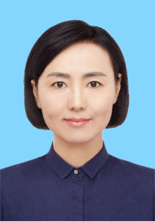v66体育